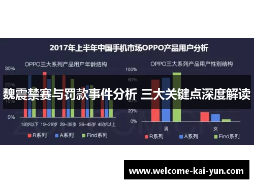 魏震禁赛与罚款事件分析 三大关键点深度解读