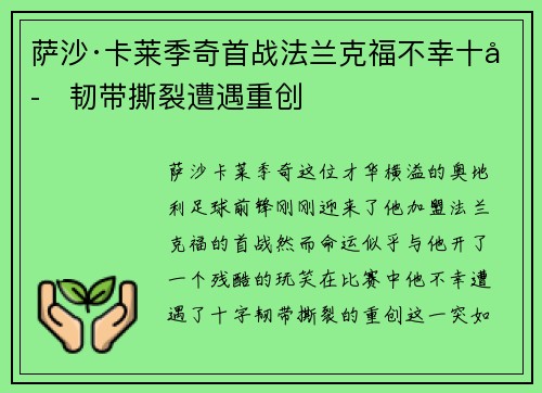 萨沙·卡莱季奇首战法兰克福不幸十字韧带撕裂遭遇重创 萨沙·卡莱季奇首战法兰克福不幸十字韧带撕裂遭遇重创