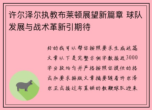 许尔泽尔执教布莱顿展望新篇章 球队发展与战术革新引期待